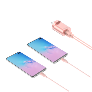 Dual Port USB-A Wall Charger with USB-C Cable - Rose Gold